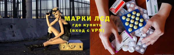 сатива Нефтекумск