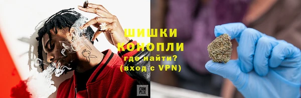 PSILOCYBIN Надым