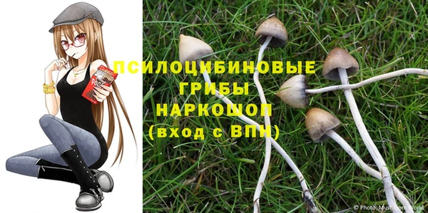 эйфоретик Нефтегорск