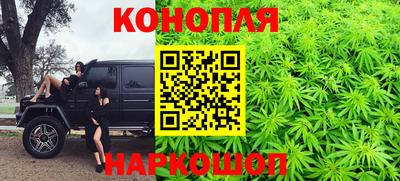 прущие крисы Бийск