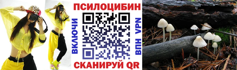 Псилоцибиновые грибы MAGIC MUSHROOMS  наркошоп  Менделеевск 