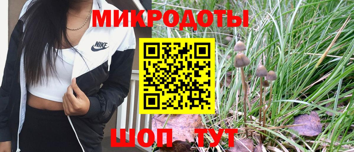 Галлюциногенные грибы мицелий  Псилоцибиновые грибы Magic Shrooms  Вход с VPN  Менделеевск 