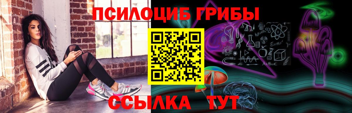 Галлюциногенные грибы мухоморы Менделеевск